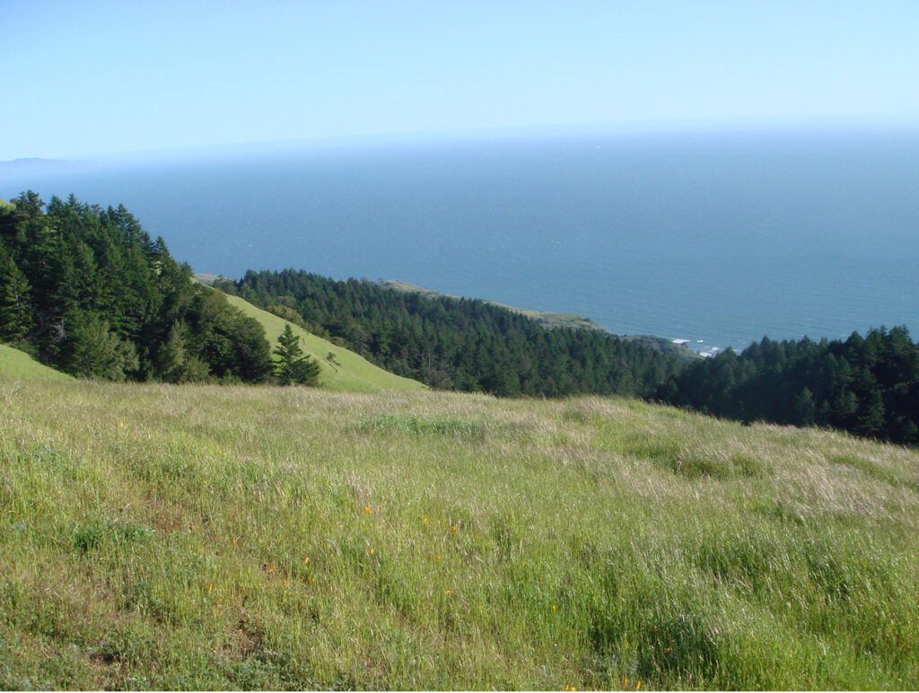 Mount Tamalpais, Marin County, California